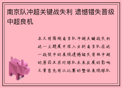 南京队冲超关键战失利 遗憾错失晋级中超良机